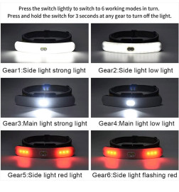 Led lempa blakstienų priauginimui