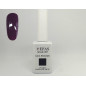 EFAS gelinis nagų lakas 48 - 15ml