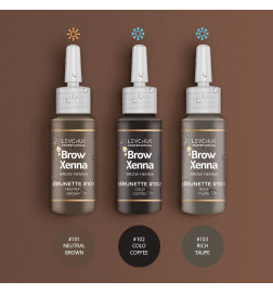Antakių dažai Brow henna rinkinys brunetėms 3x10ml