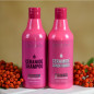 Cocochoco Atstatomasis kondicionierius su keramidu 500 ml
