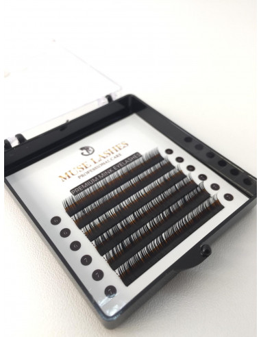 Muse Lashes eyelashes for extensions (VOLUME - MINI)