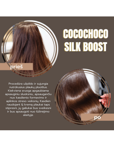 COCOCHOCO
Silk Boost Split Ends Leave In Treatment 100 ml