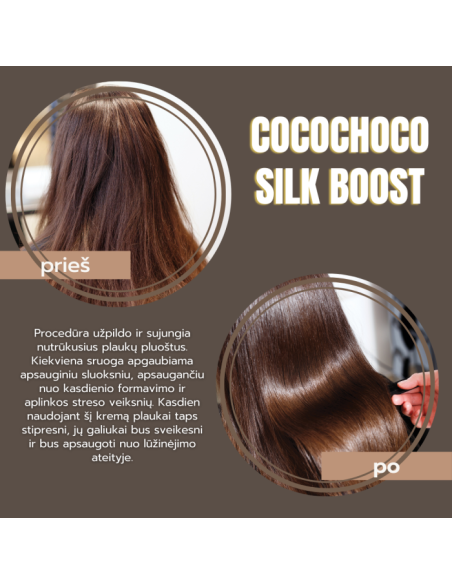 COCOCHOCO Silk Boost Split Ends Leave In Treatment 100 ml